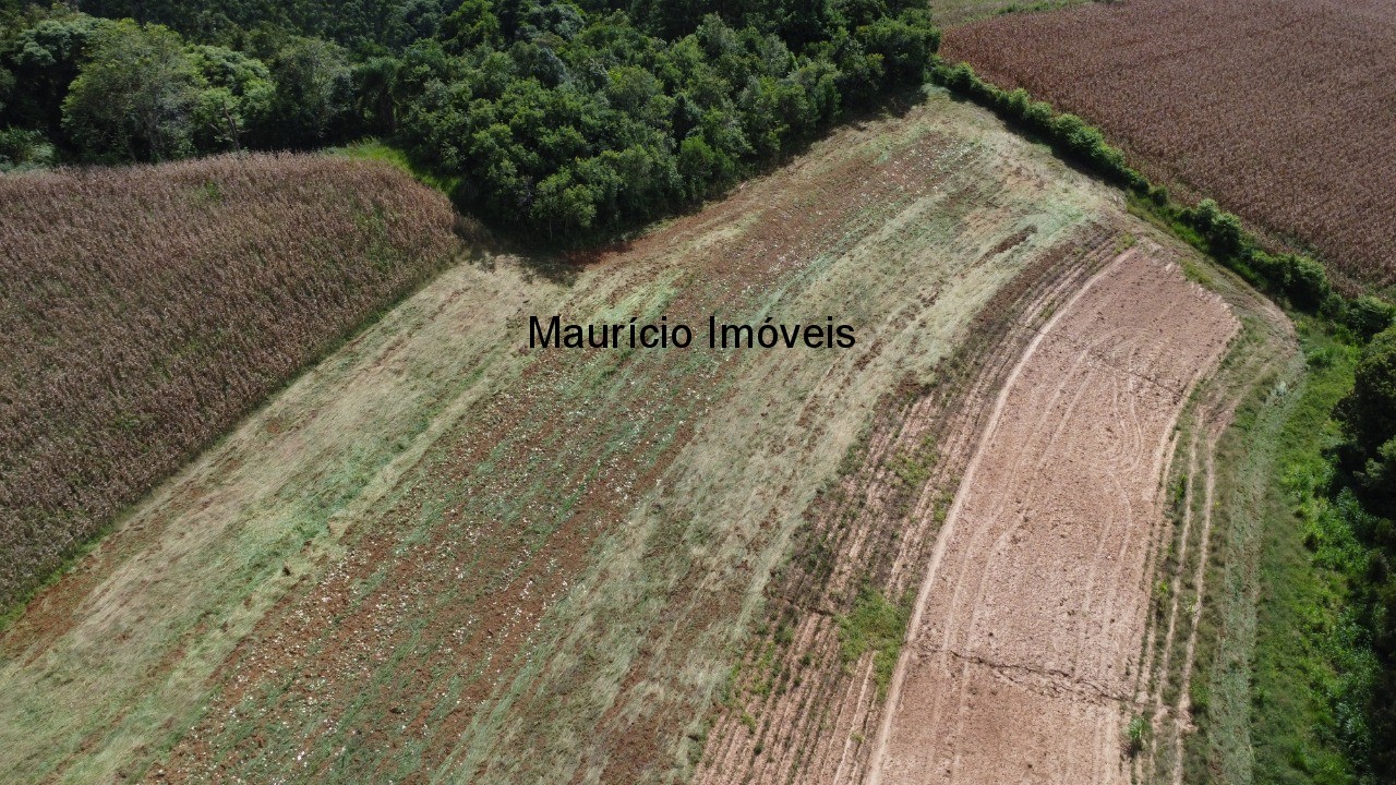 Sítio à venda, 4m² - Foto 8