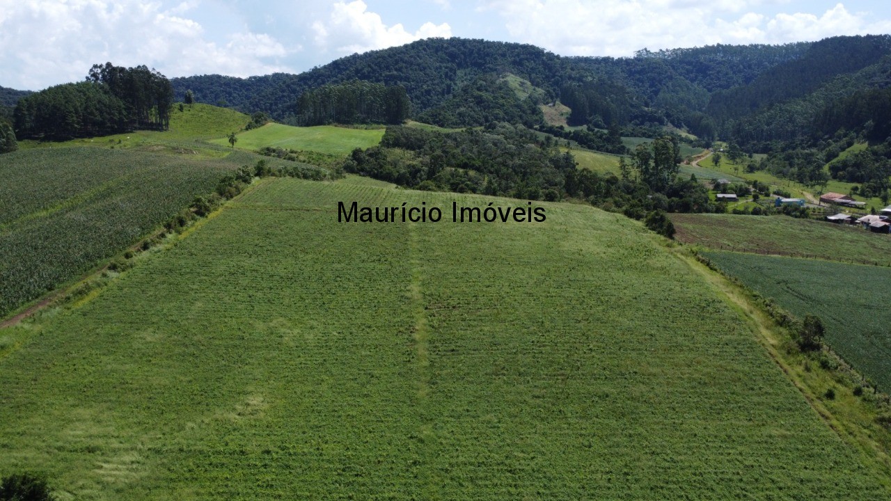 Fazenda à venda com 1 quarto, 25m² - Foto 14