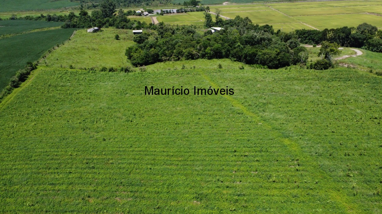 Fazenda à venda com 1 quarto, 25m² - Foto 28