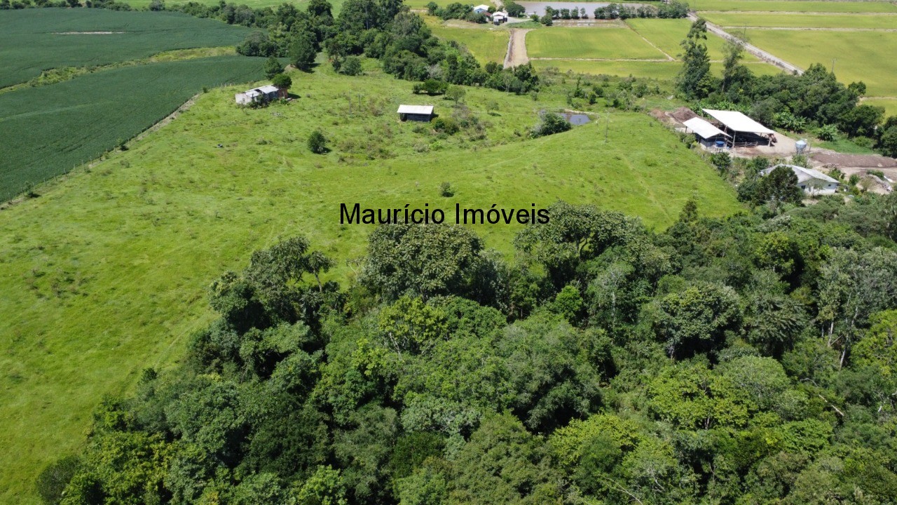 Fazenda à venda com 1 quarto, 25m² - Foto 23