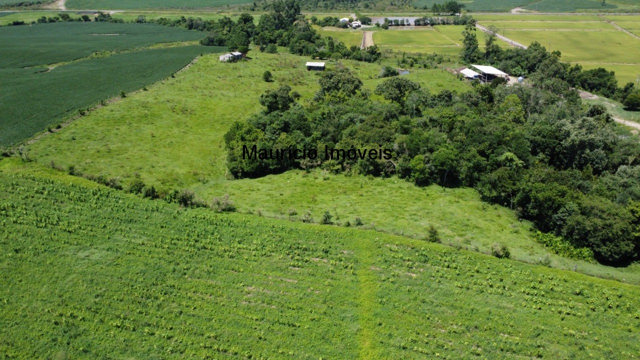 Fazenda à venda com 1 quarto, 25m² - Foto 27