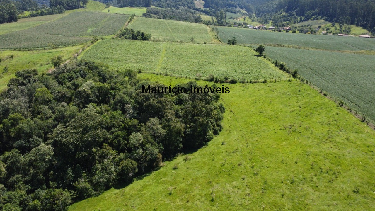 Fazenda à venda com 1 quarto, 25m² - Foto 12
