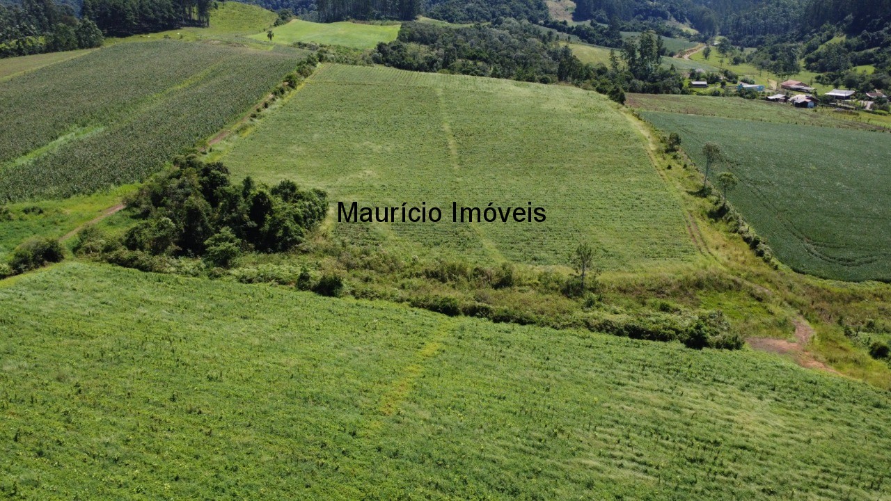 Fazenda à venda com 1 quarto, 25m² - Foto 13