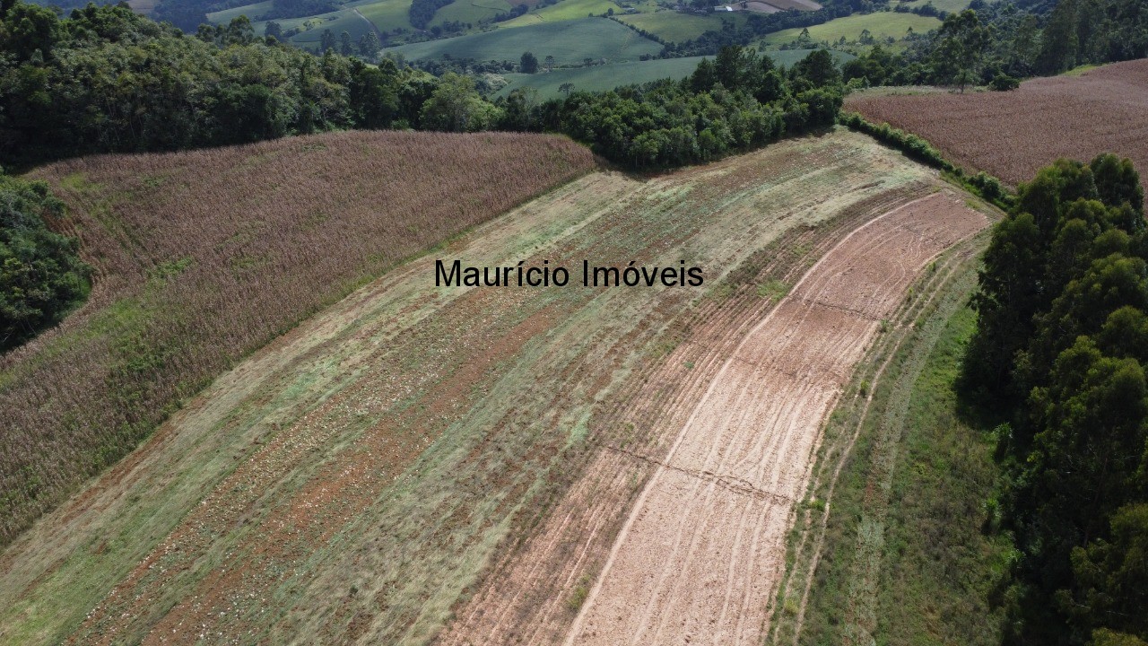 Sítio à venda, 4m² - Foto 5