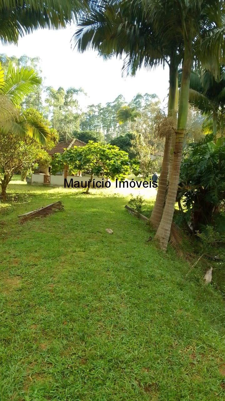 Sítio, 3 quartos, 4 hectares - Foto 3