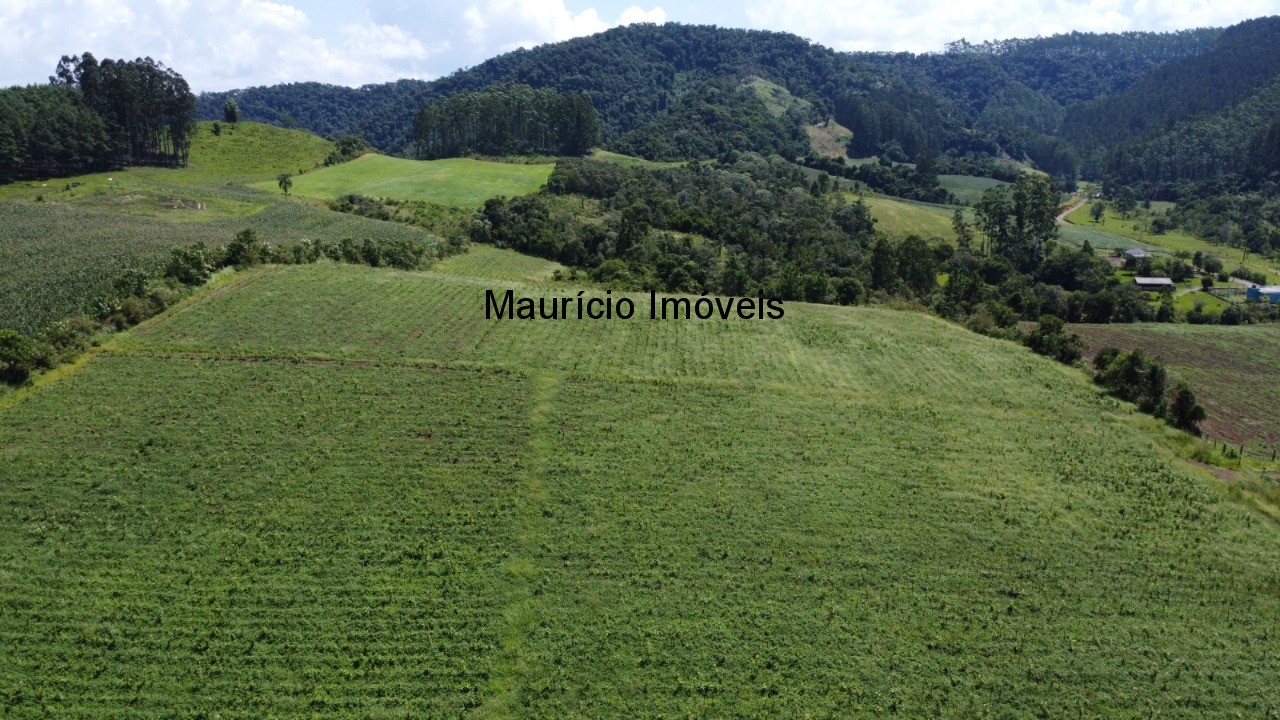 Fazenda à venda com 1 quarto, 25m² - Foto 16