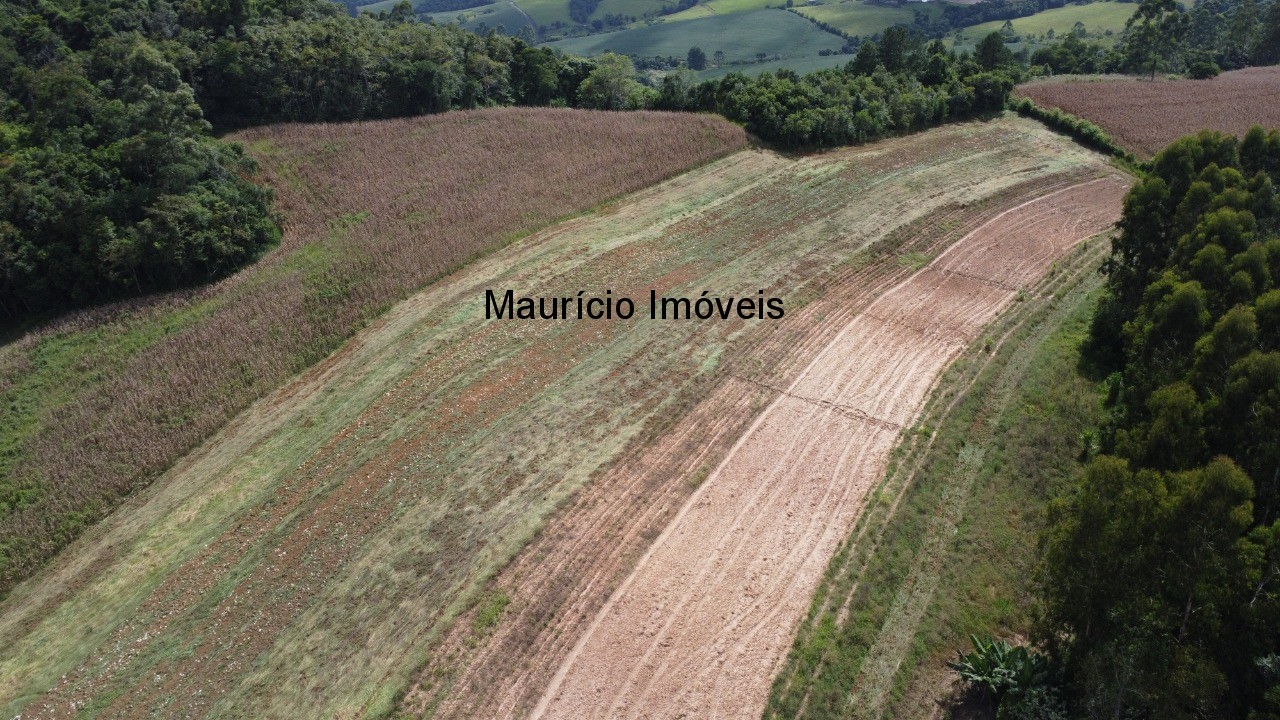 Sítio à venda, 4m² - Foto 4