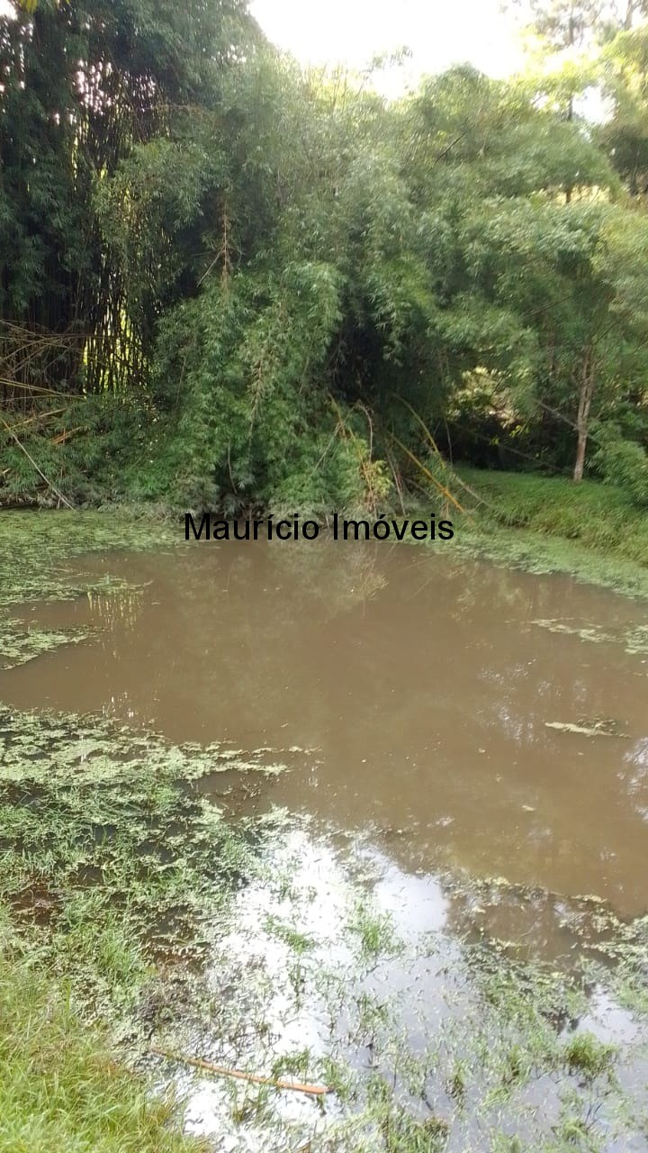 Sítio, 3 quartos, 4 hectares - Foto 2