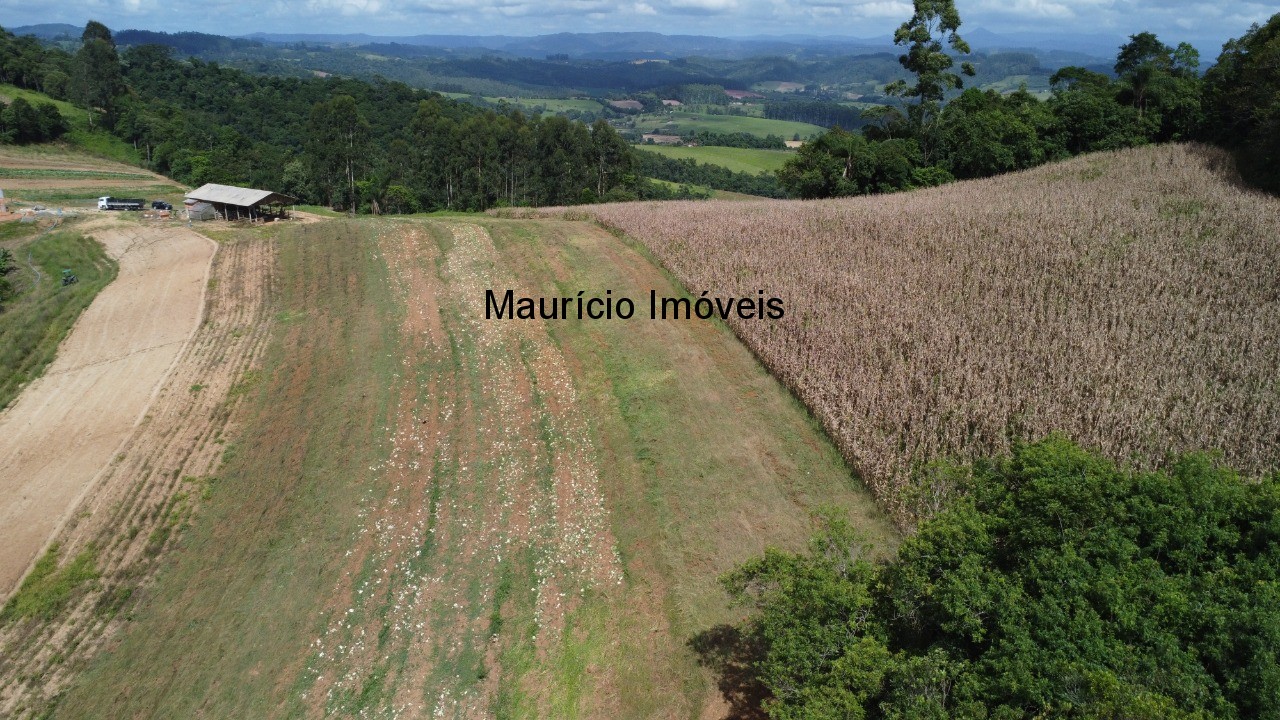 Sítio à venda, 4m² - Foto 16