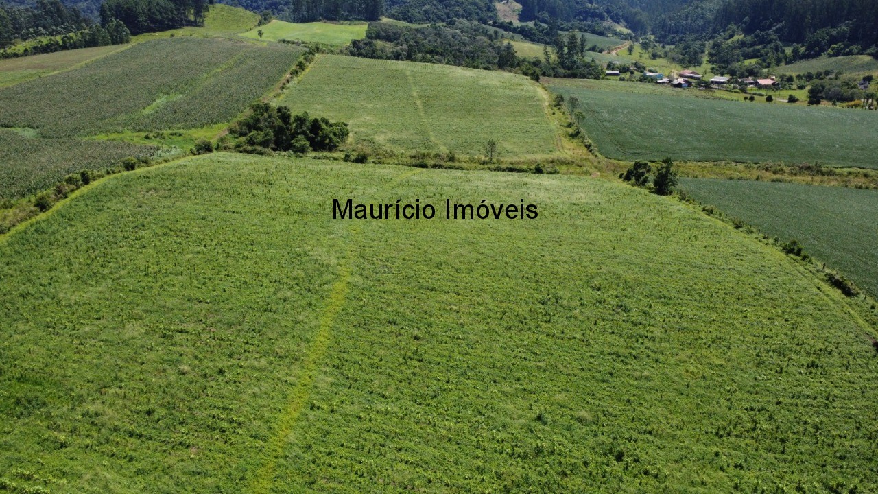 Fazenda à venda com 1 quarto, 25m² - Foto 1