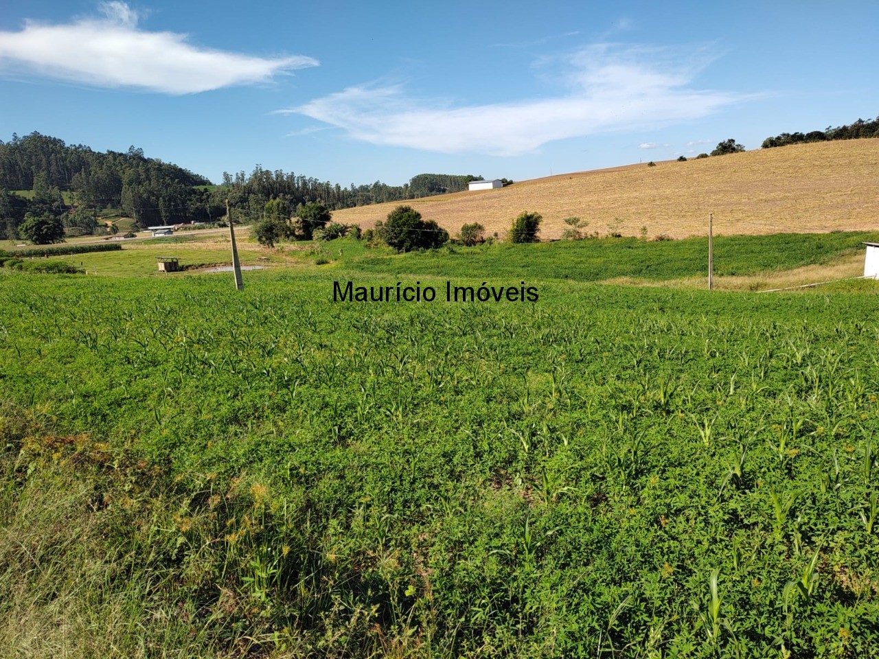 Terreno à venda, 20000m² - Foto 11