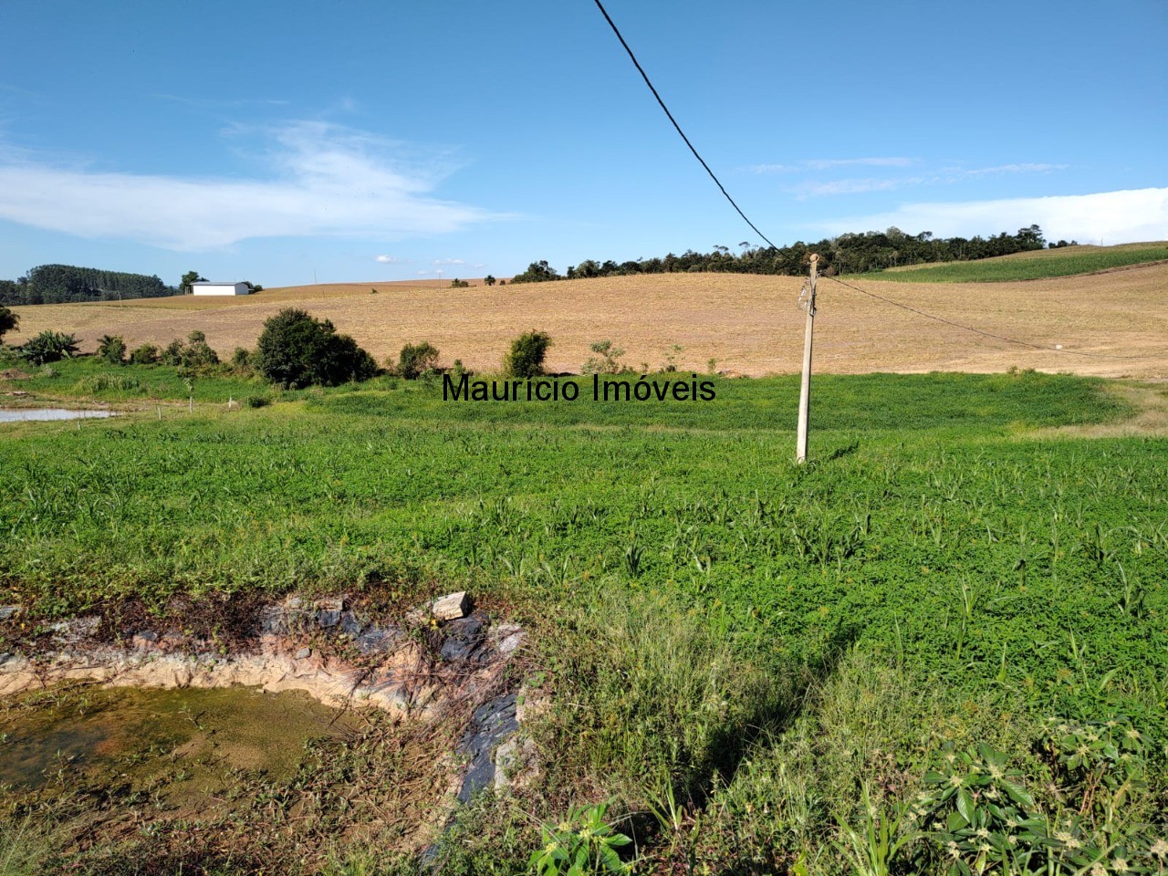 Terreno à venda, 20000m² - Foto 13