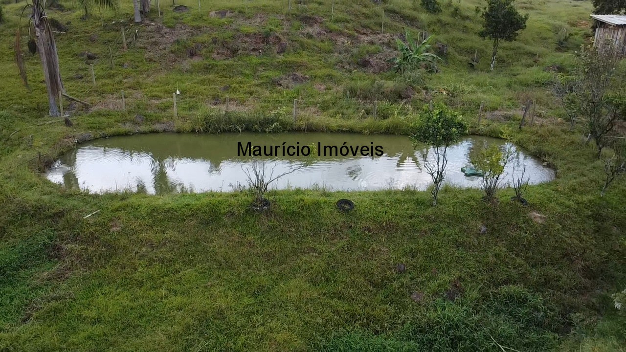 Casa à venda com 4 quartos, 1000m² - Foto 12