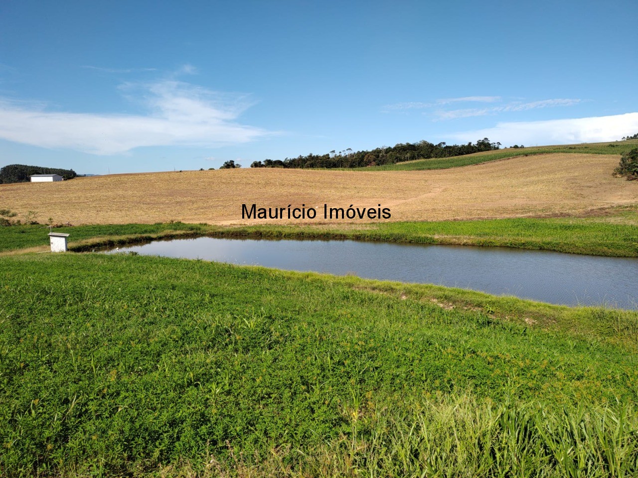 Terreno à venda, 20000m² - Foto 1