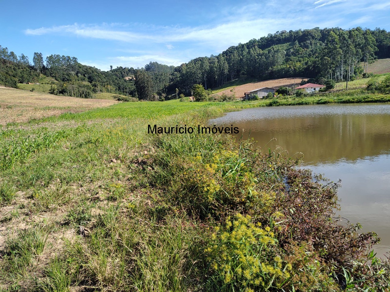 Terreno à venda, 20000m² - Foto 4