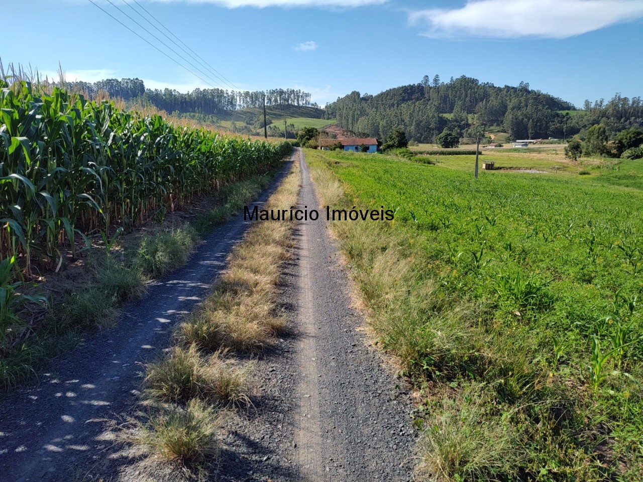 Terreno à venda, 20000m² - Foto 12