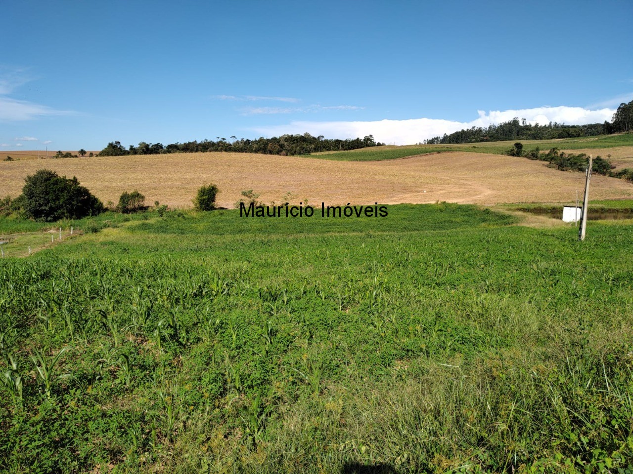 Terreno à venda, 20000m² - Foto 9