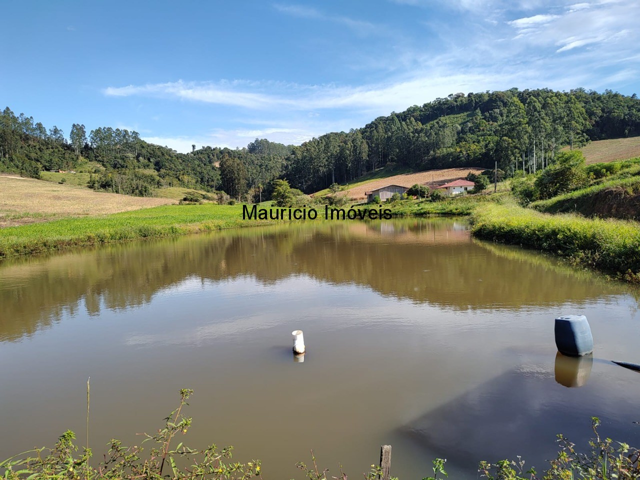 Terreno à venda, 20000m² - Foto 5
