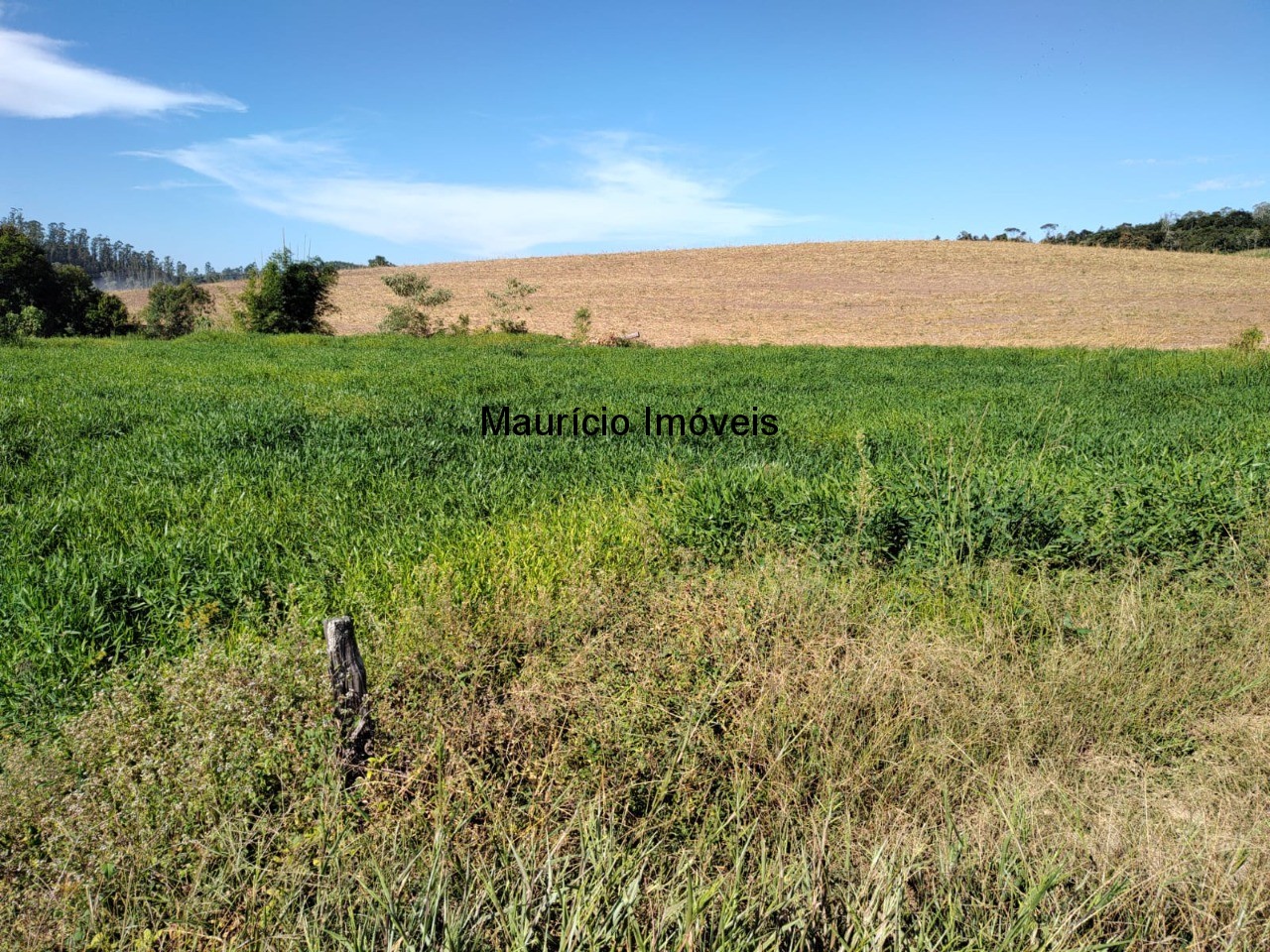 Terreno à venda, 20000m² - Foto 10
