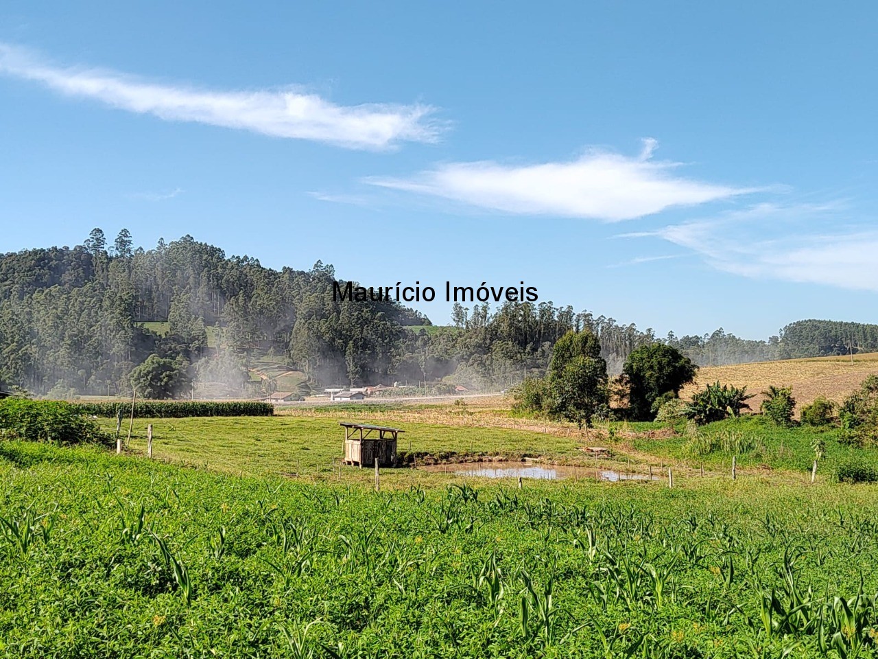 Terreno à venda, 20000m² - Foto 6