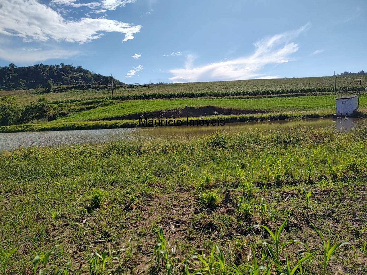 Terreno à venda, 20000m² - Foto 3