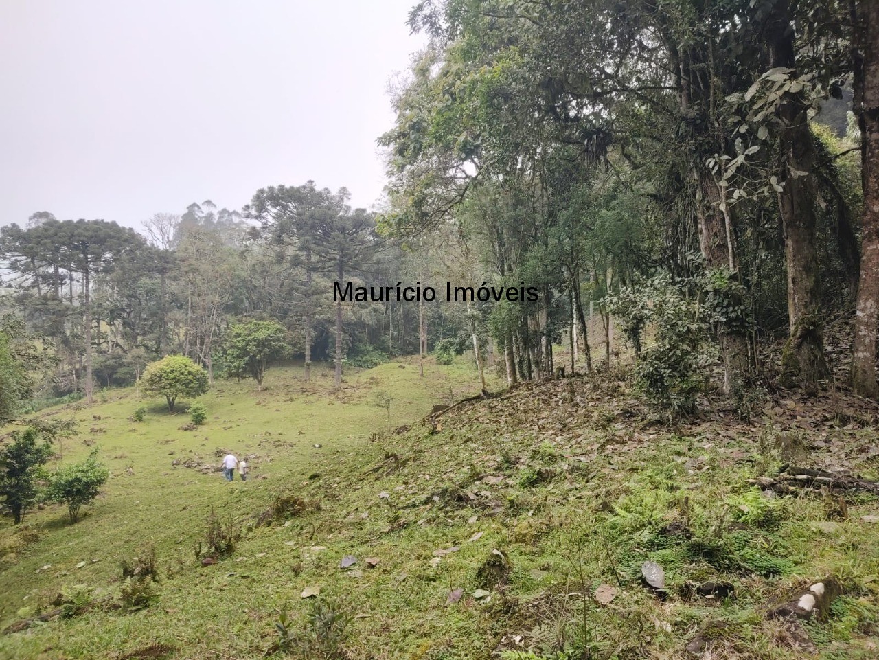 Terreno, 14 m² - Foto 9