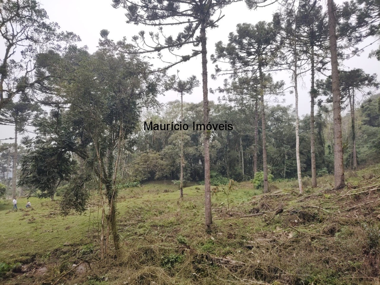 Terreno, 14 m² - Foto 8