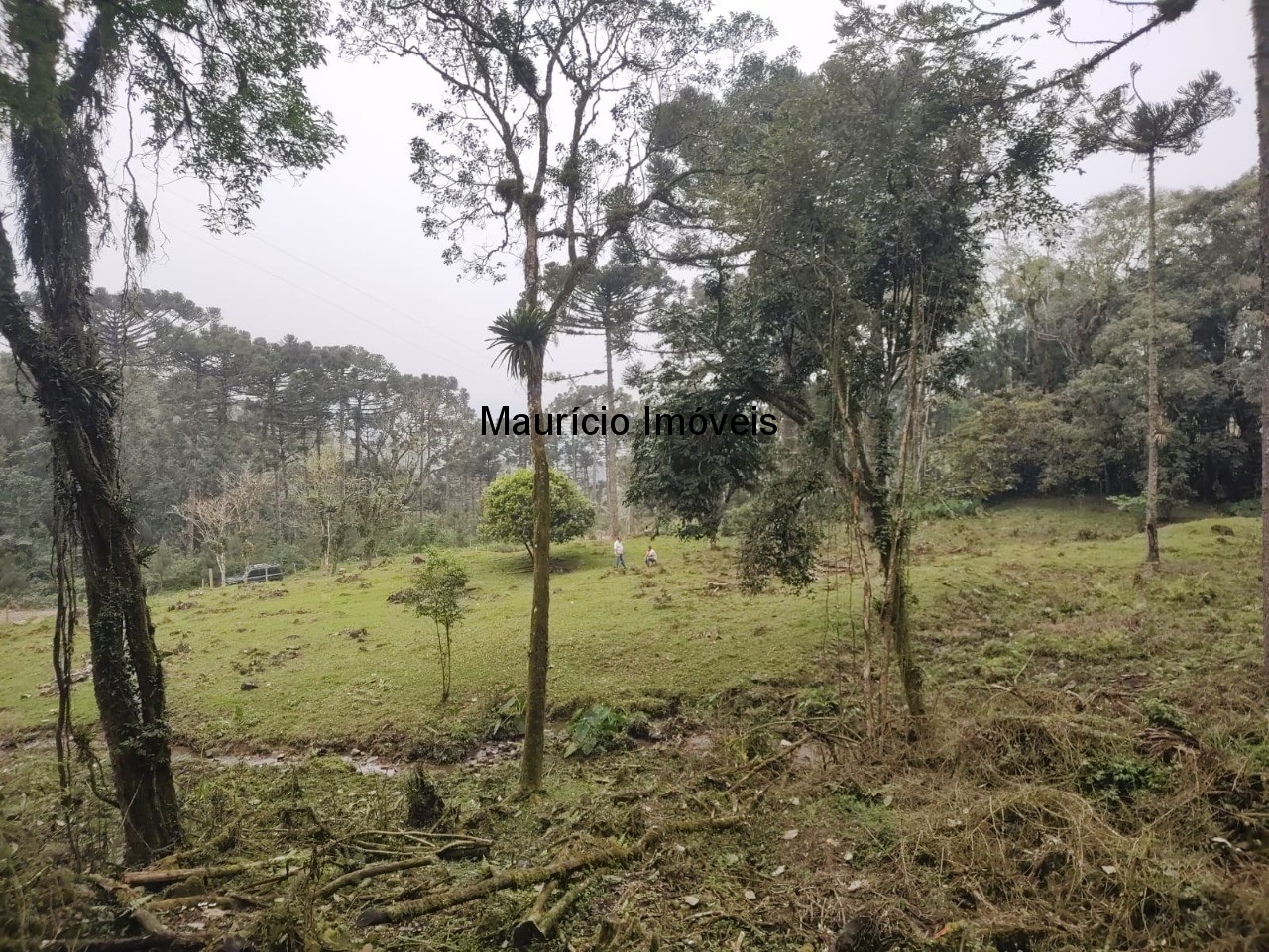 Terreno, 14 m² - Foto 4