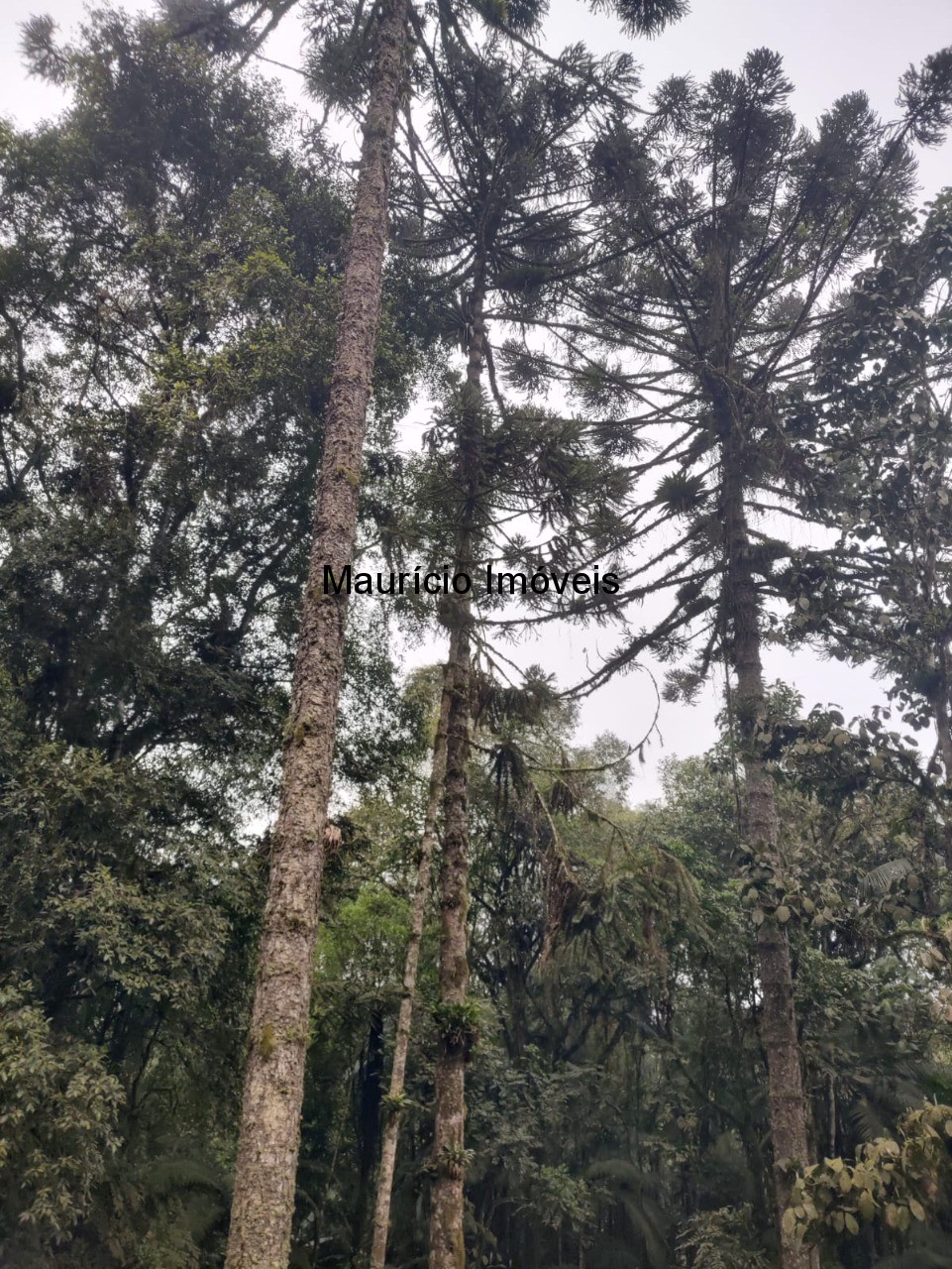 Terreno, 14 m² - Foto 12