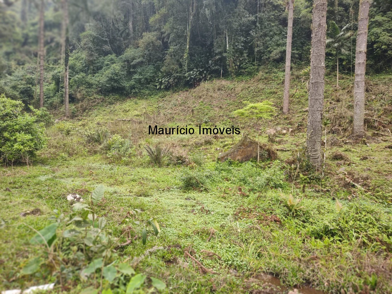 Terreno, 14 m² - Foto 2