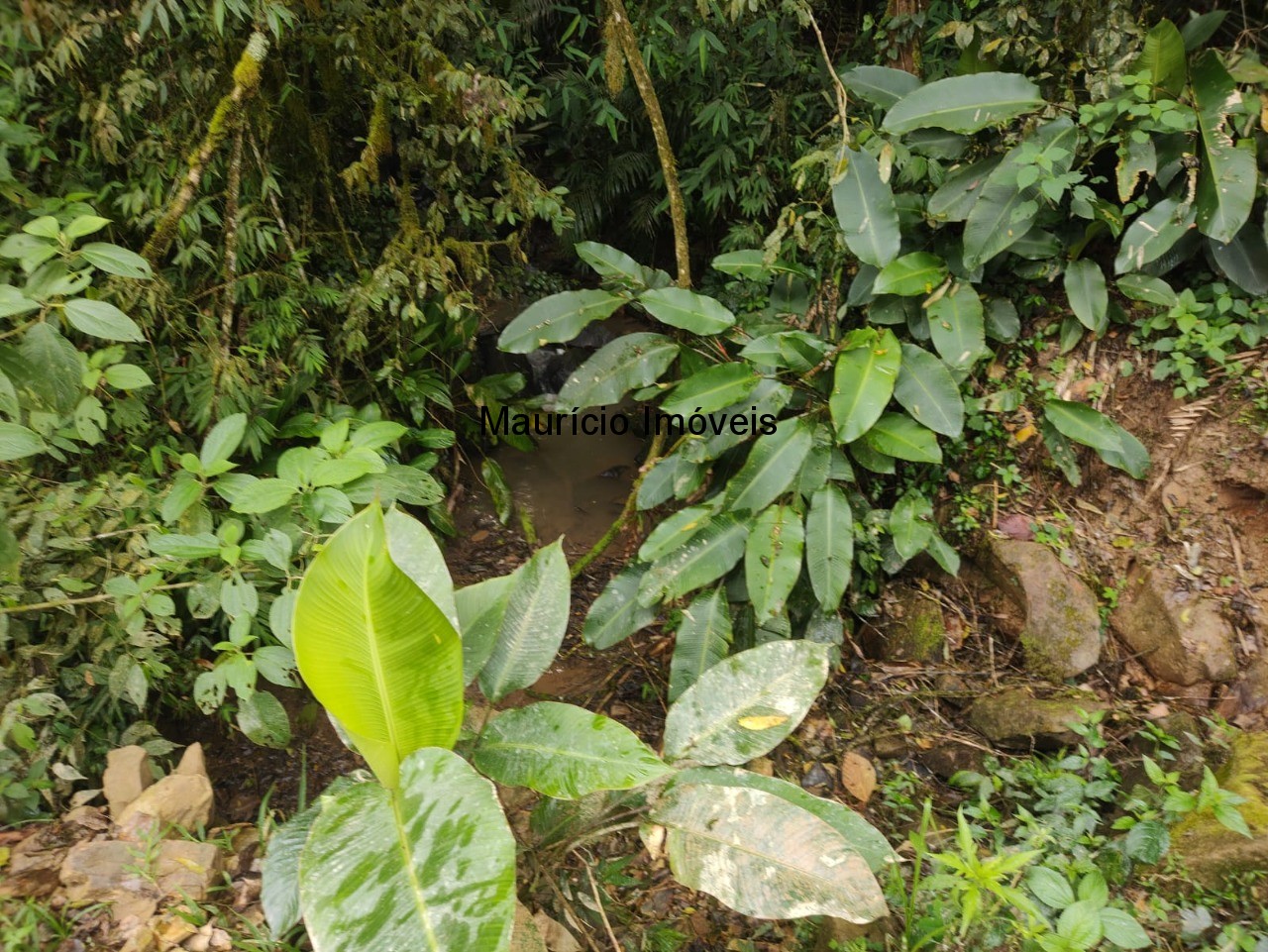 Terreno, 14 m² - Foto 24