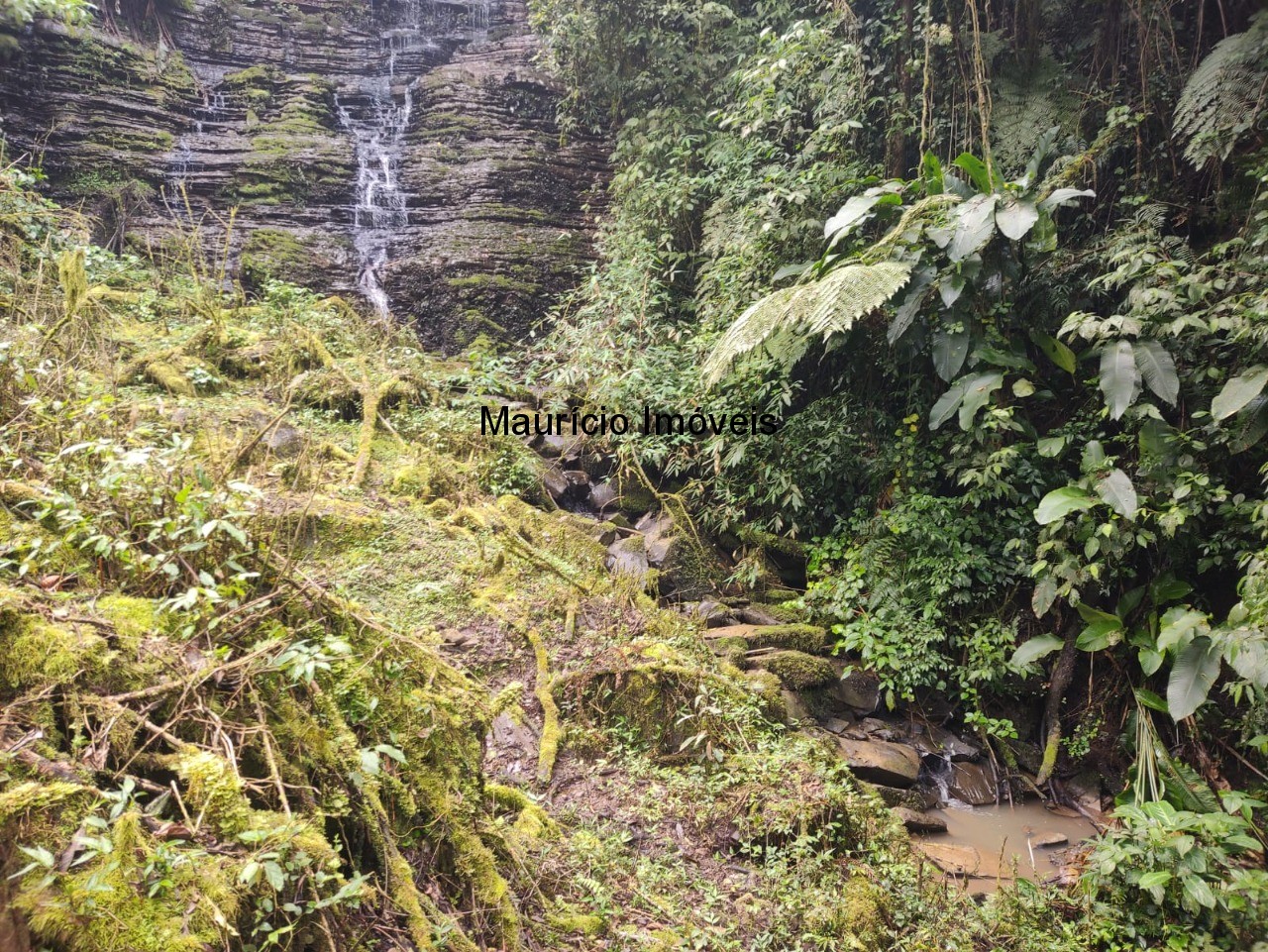 Terreno, 14 m² - Foto 14