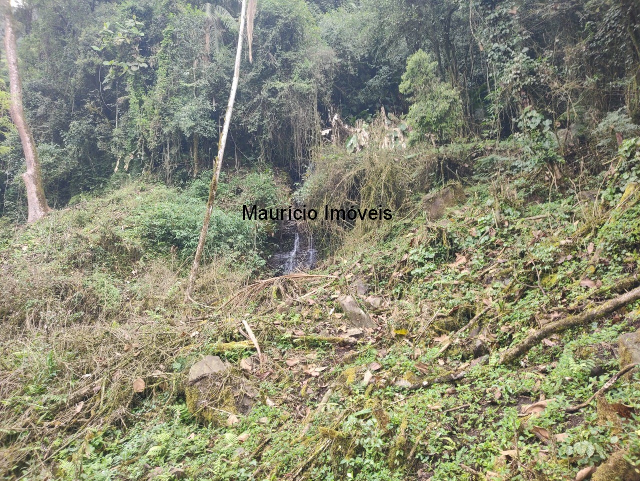 Terreno, 14 m² - Foto 7