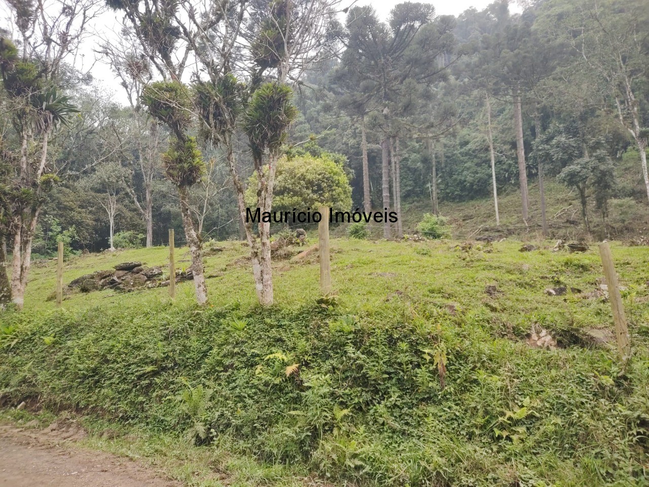 Terreno, 14 m² - Foto 18