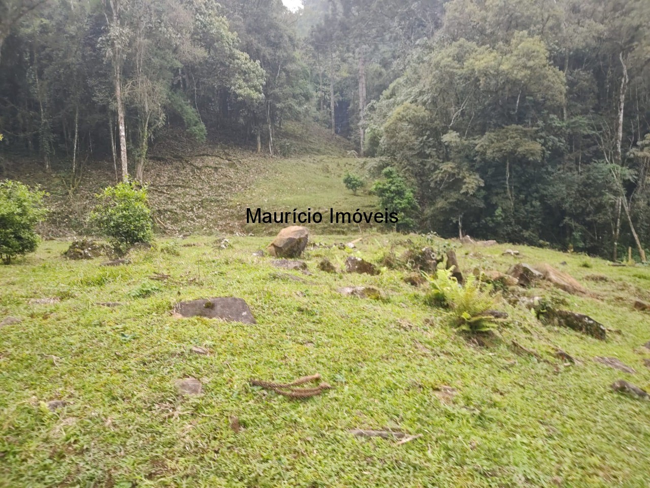 Terreno, 14 m² - Foto 16