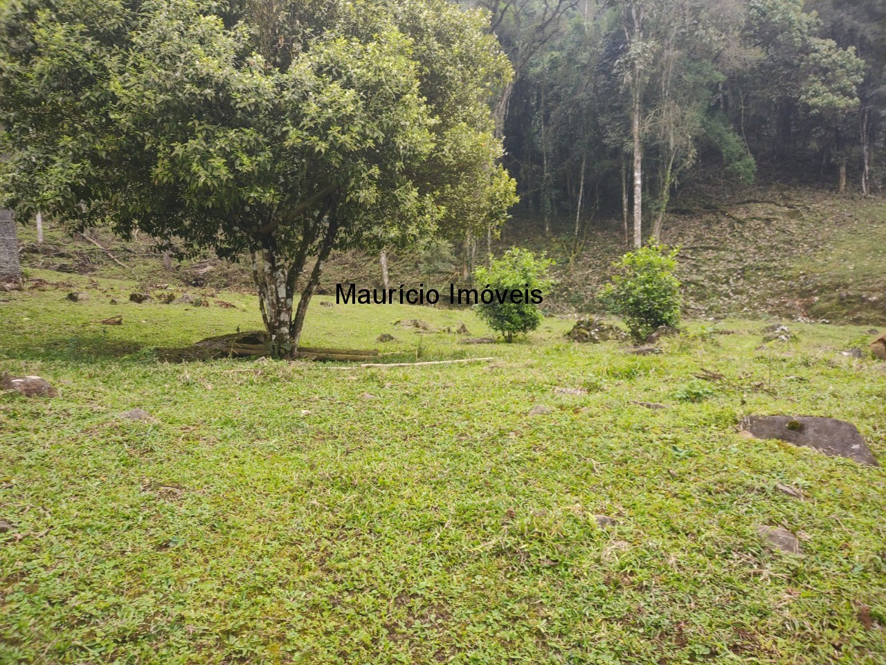 Terreno, 14 m² - Foto 15