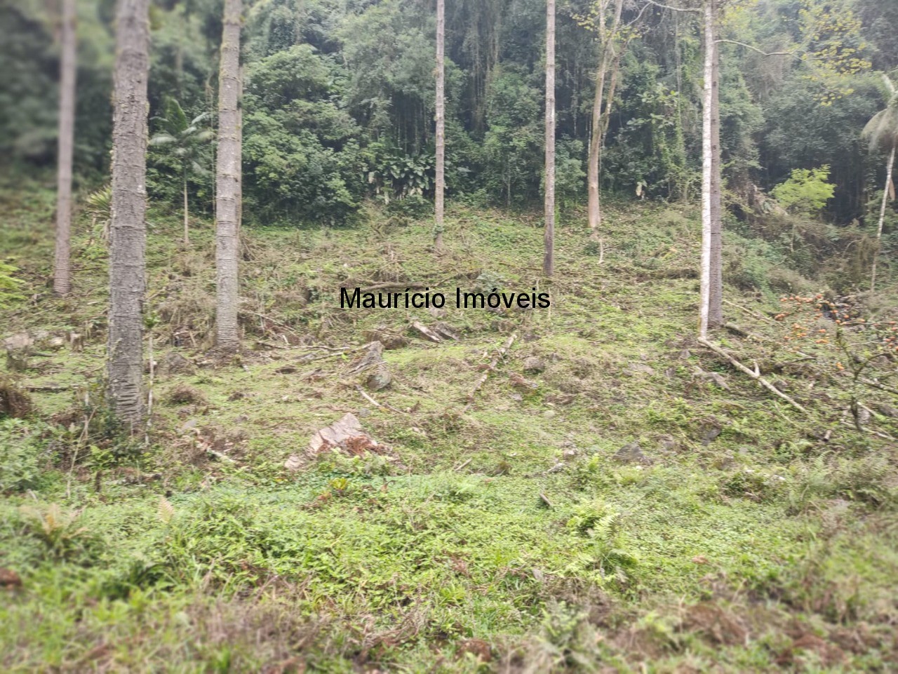 Terreno, 14 m² - Foto 3