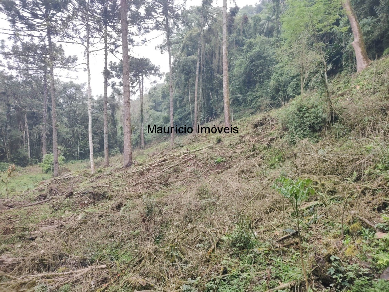 Terreno, 14 m² - Foto 6