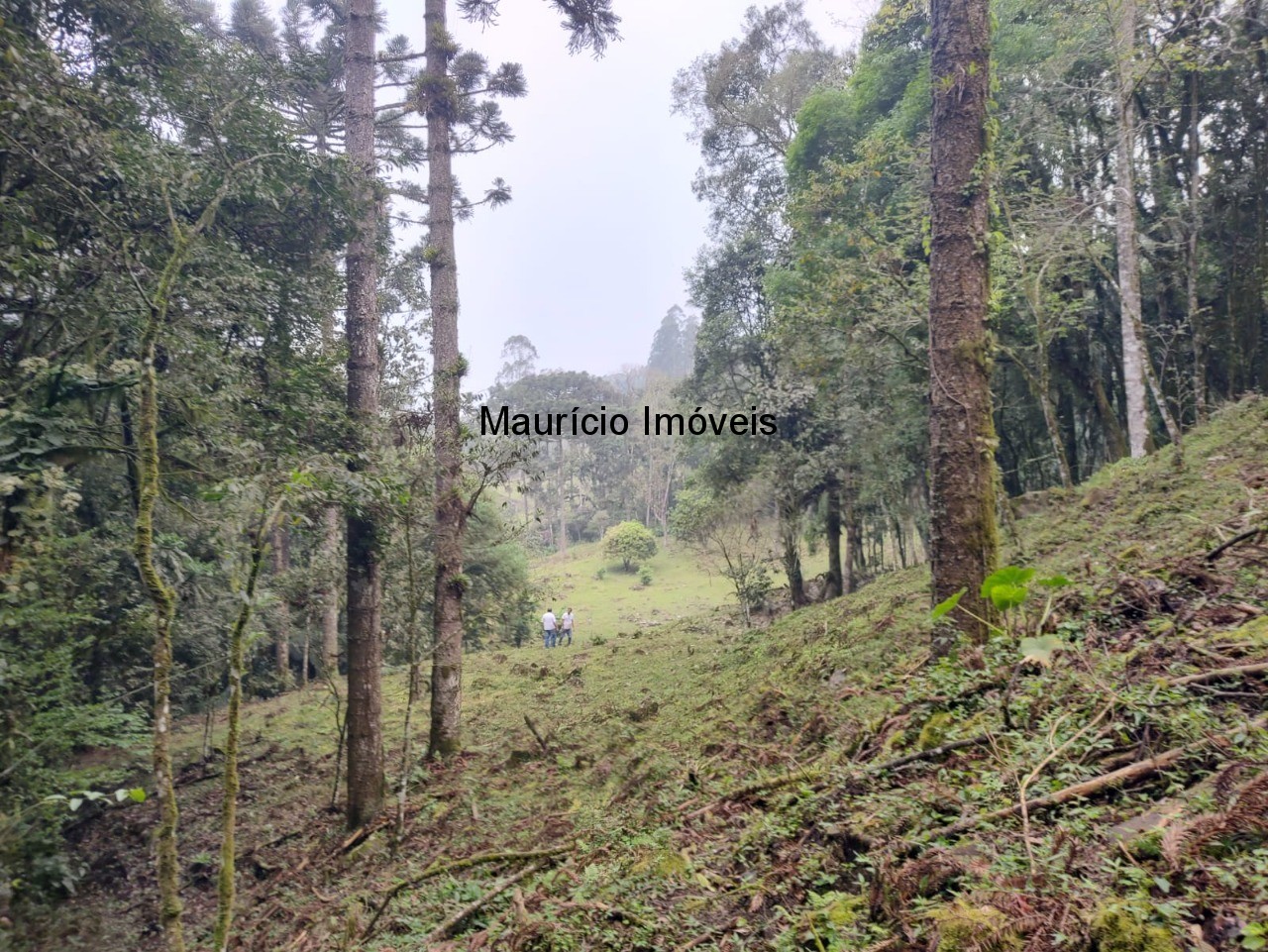 Terreno, 14 m² - Foto 11