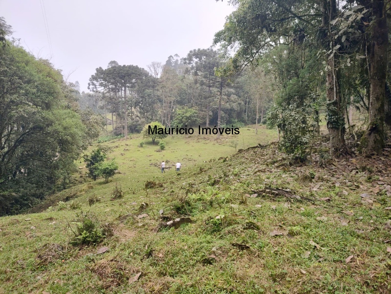 Terreno, 14 m² - Foto 10