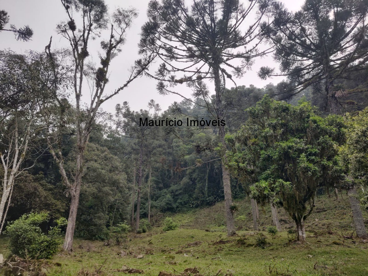 Terreno, 14 m² - Foto 17