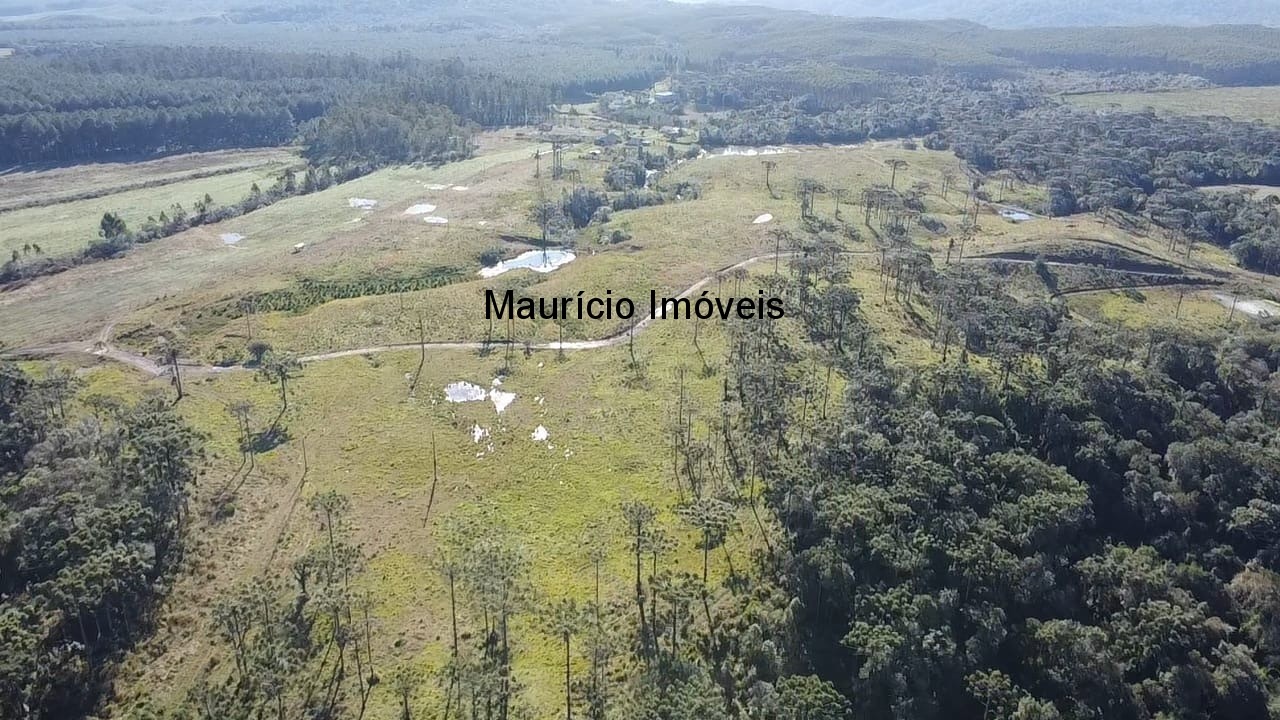 Sítio à venda com 3 quartos, 270m² - Foto 27