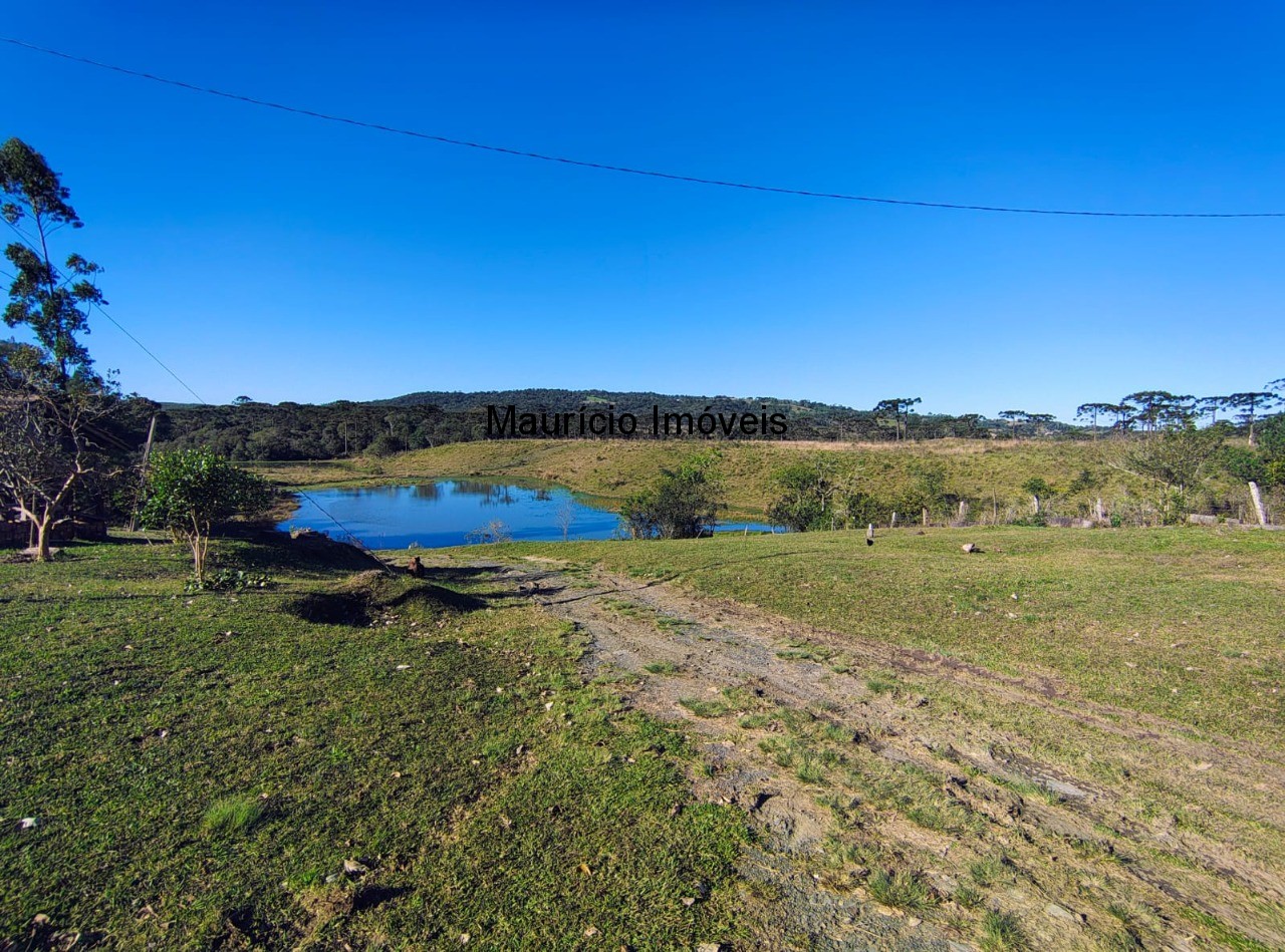 Fazenda à venda com 3 quartos, 270m² - Foto 2