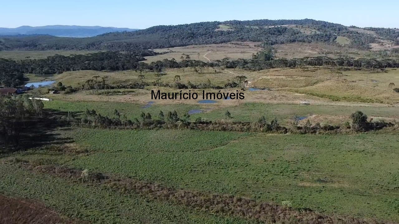 Sítio à venda com 3 quartos, 270m² - Foto 16