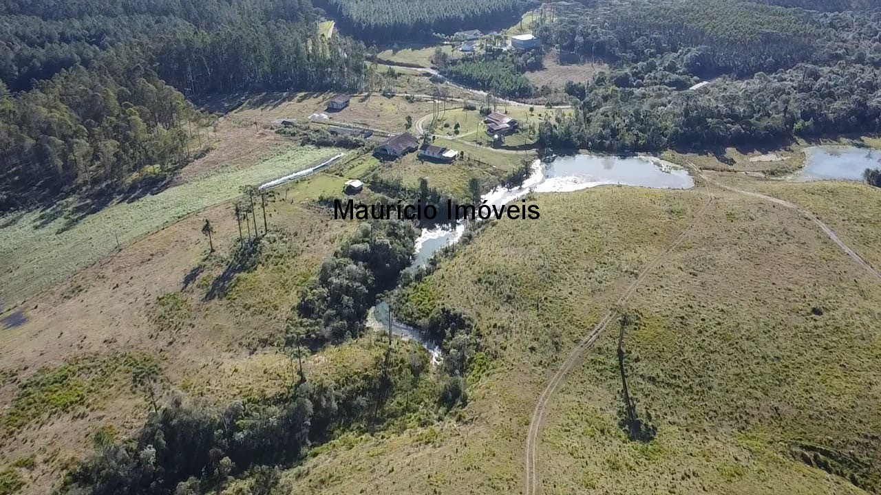 Fazenda à venda com 3 quartos, 270m² - Foto 25