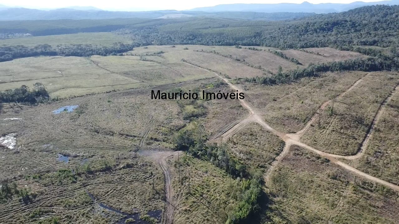 Fazenda à venda com 3 quartos, 270m² - Foto 27