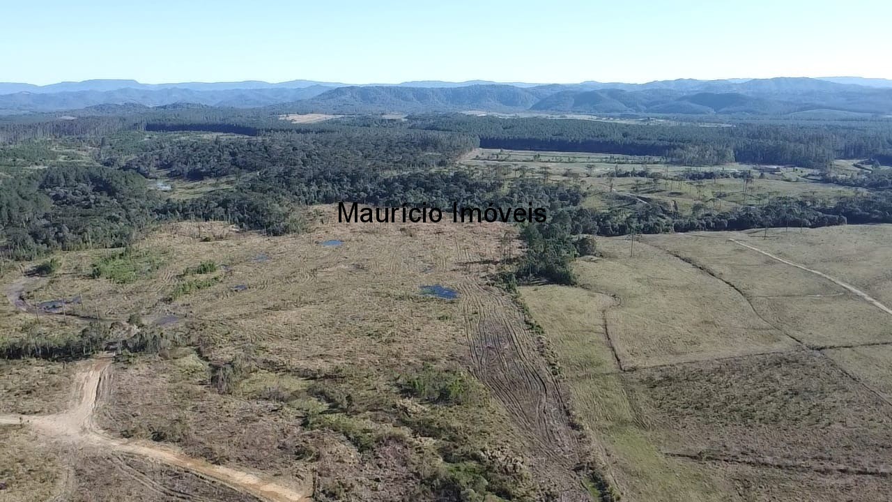 Fazenda à venda com 3 quartos, 270m² - Foto 31