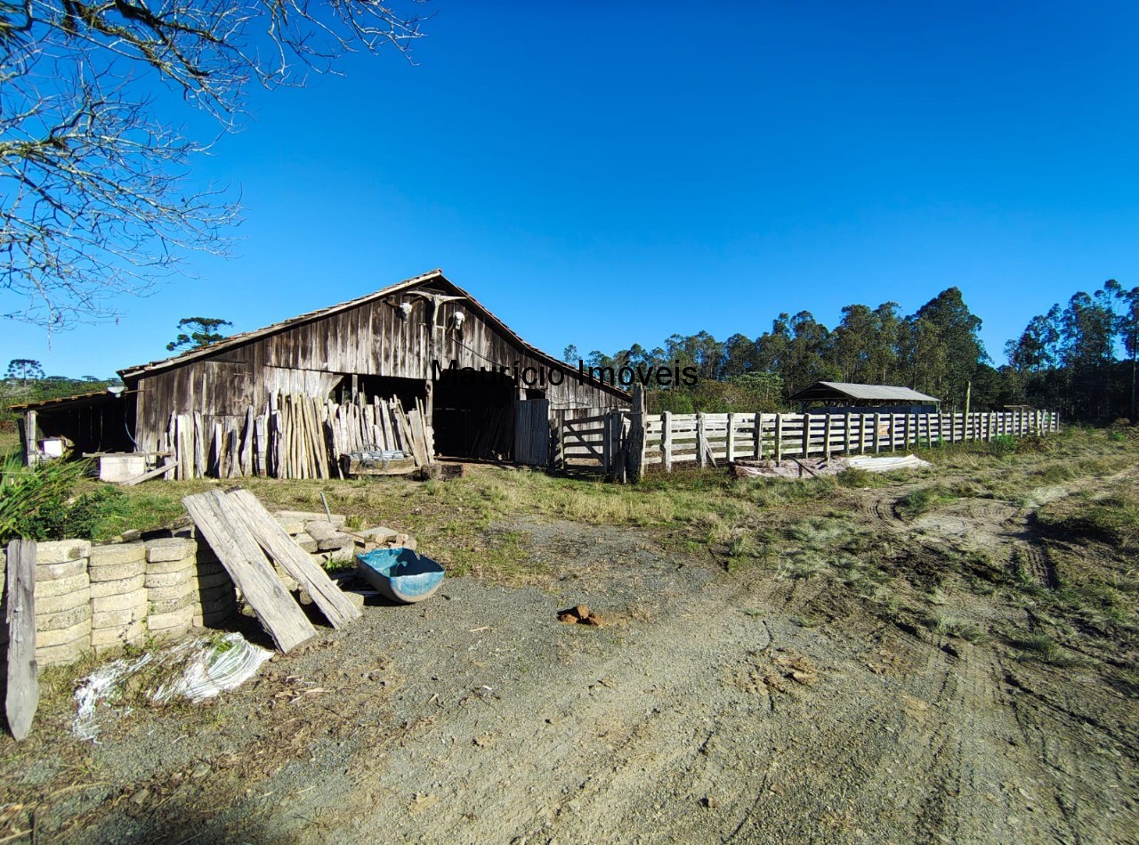 Fazenda à venda com 3 quartos, 270m² - Foto 5