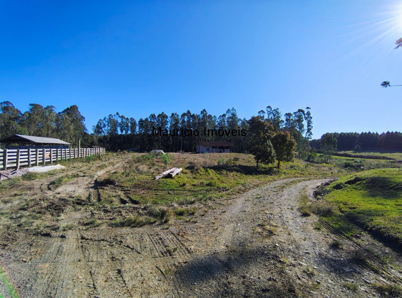 Fazenda à venda com 3 quartos, 270m² - Foto 7