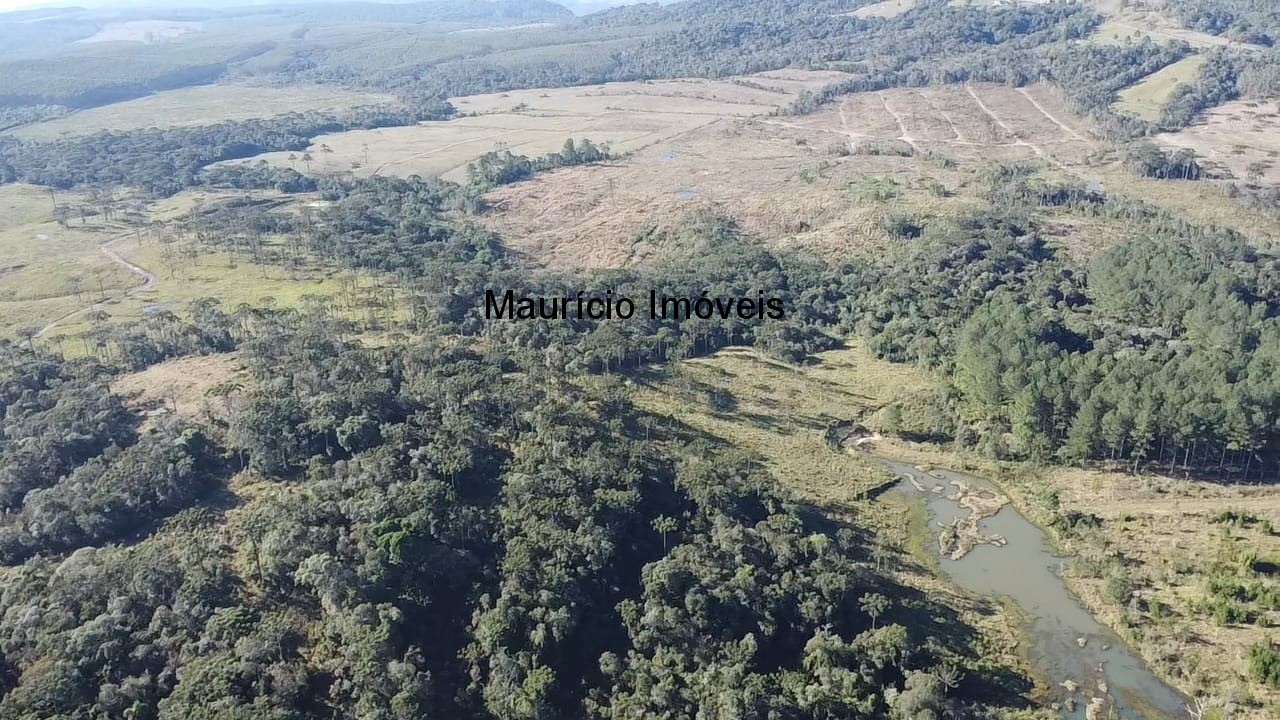 Fazenda à venda com 3 quartos, 270m² - Foto 11